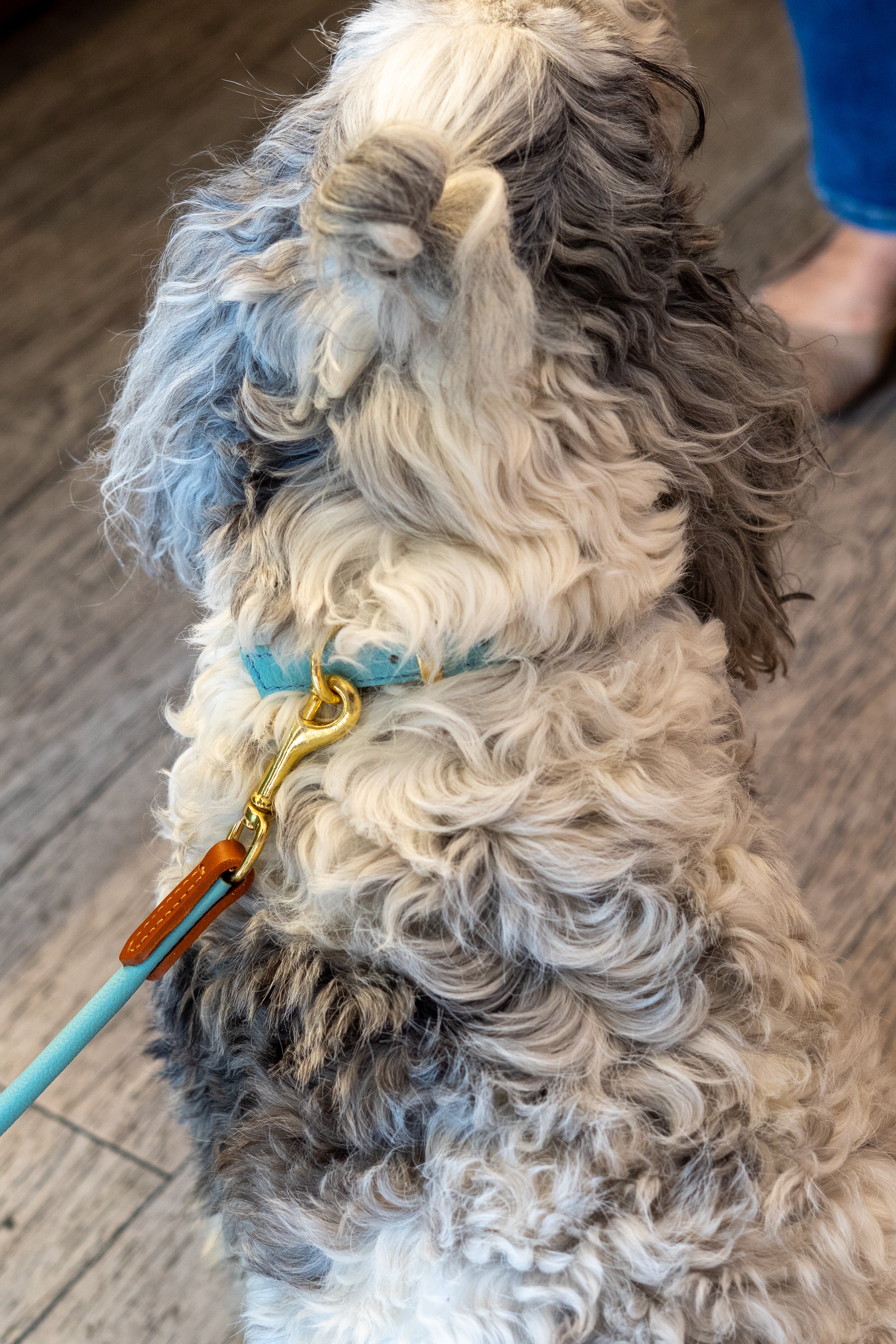 - The PIAFF Pooch Package