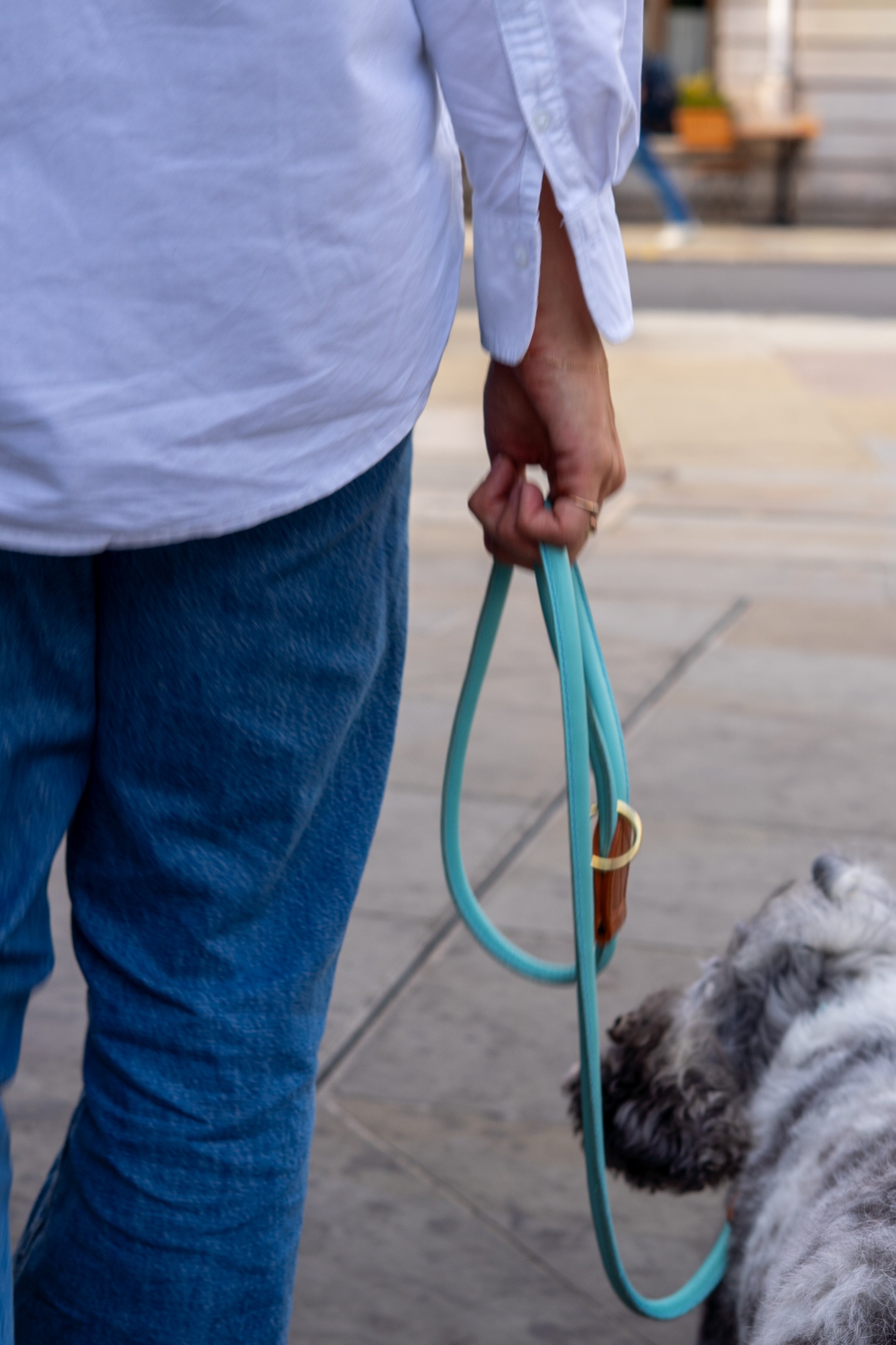 - The PIAFF Pooch Package