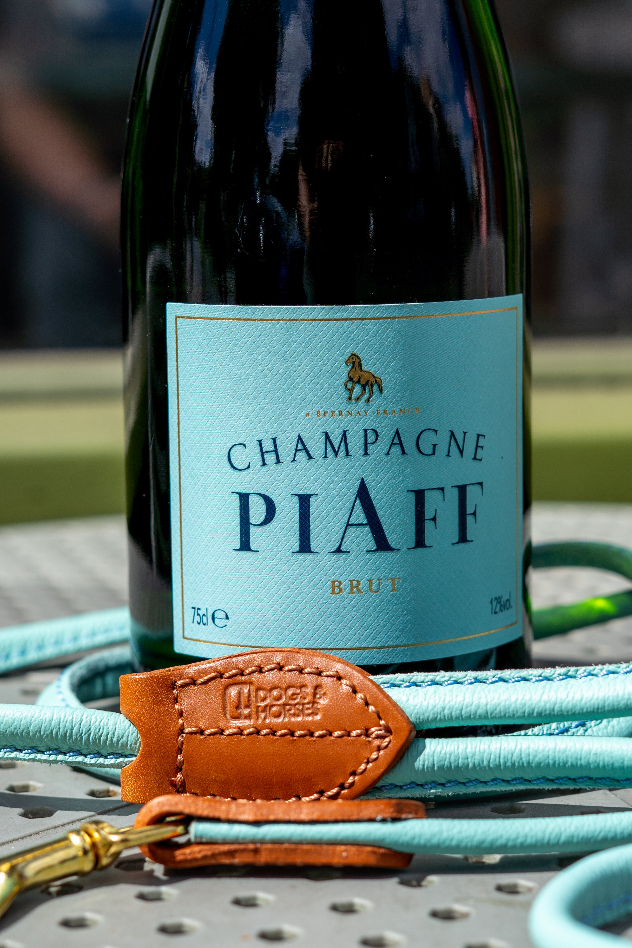 - The PIAFF Pooch Package